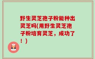 野生灵芝孢子粉能种出灵芝吗(用野生灵芝孢子粉培育灵芝，成功了！)