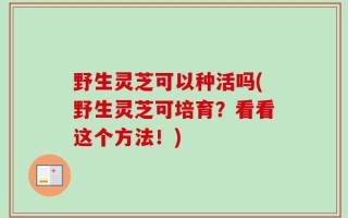 野生灵芝可以种活吗(野生灵芝可培育？看看这个方法！)