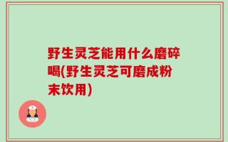 野生灵芝能用什么磨碎喝(野生灵芝可磨成粉末饮用)