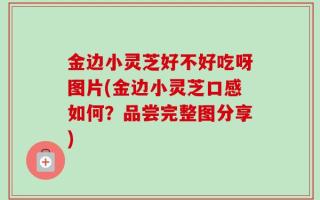 金边小灵芝好不好吃呀图片(金边小灵芝口感如何？品尝完整图分享)