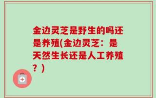 金边灵芝是野生的吗还是养殖(金边灵芝：是天然生长还是人工养殖？)
