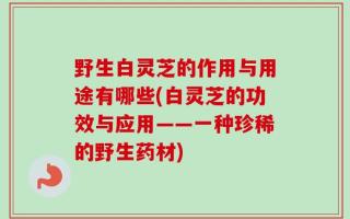 野生白灵芝的作用与用途有哪些(白灵芝的功效与应用——一种珍稀的野生药材)