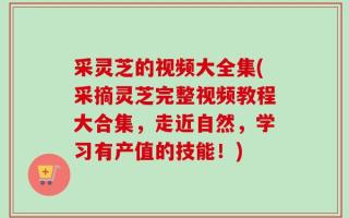 采灵芝的视频大全集(采摘灵芝完整视频教程大合集，走近自然，学习有产值的技能！)