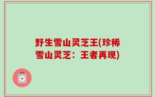 野生雪山灵芝王(珍稀雪山灵芝：王者再现)