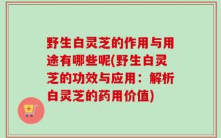 野生白灵芝的作用与用途有哪些呢(野生白灵芝的功效与应用：解析白灵芝的药用价值)