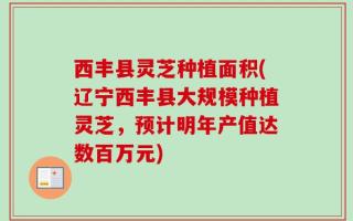 西丰县灵芝种植面积(辽宁西丰县大规模种植灵芝，预计明年产值达数百万元)
