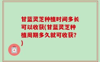 甘蓝灵芝种植时间多长可以收获(甘蓝灵芝种植周期多久就可收获？)