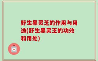 野生黑灵芝的作用与用途(野生黑灵芝的功效和用处)
