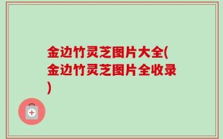 金边竹灵芝图片大全(金边竹灵芝图片全收录)