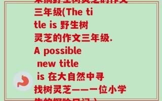 采摘野生树灵芝的作文三年级(The title is 野生树灵芝的作文三年级. A possible new title is 在大自然中寻找树灵芝——一位小学生的探险日记.)