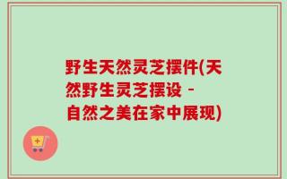 野生天然灵芝摆件(天然野生灵芝摆设 - 自然之美在家中展现)