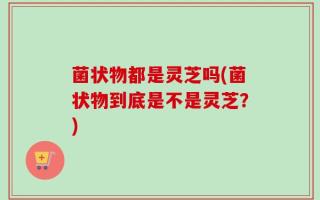 菌状物都是灵芝吗(菌状物到底是不是灵芝？)