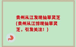 贵州从江发现仙草灵芝(贵州从江惊现仙草灵芝，引发关注！)