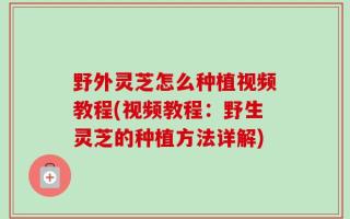 野外灵芝怎么种植视频教程(视频教程：野生灵芝的种植方法详解)