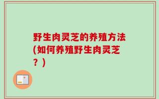 野生肉灵芝的养殖方法(如何养殖野生肉灵芝？)