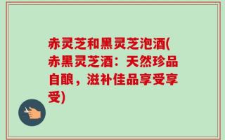 赤灵芝和黑灵芝泡酒(赤黑灵芝酒：天然珍品自酿，滋补佳品享受享受)