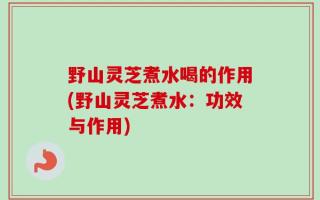 野山灵芝煮水喝的作用(野山灵芝煮水：功效与作用)
