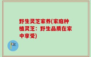 野生灵芝家养(家庭种植灵芝：野生品质在家中享受)