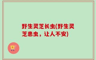 野生灵芝长虫(野生灵芝患虫，让人不安)