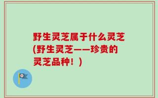 野生灵芝属于什么灵芝(野生灵芝——珍贵的灵芝品种！)