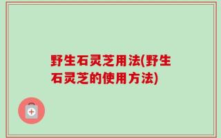 野生石灵芝用法(野生石灵芝的使用方法)