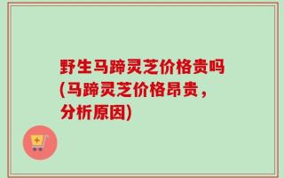 野生马蹄灵芝价格贵吗(马蹄灵芝价格昂贵，分析原因)