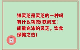 铁灵芝是灵芝的一种吗有什么功效(铁灵芝：能量充沛的灵芝，饮食保健之选)