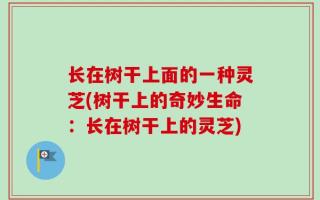 长在树干上面的一种灵芝(树干上的奇妙生命：长在树干上的灵芝)