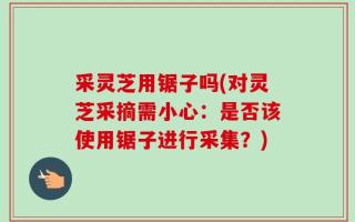 采灵芝用锯子吗(对灵芝采摘需小心：是否该使用锯子进行采集？)