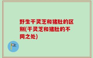 野生干灵芝和猪肚的区别(干灵芝和猪肚的不同之处)