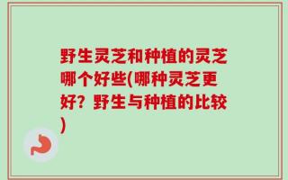 野生灵芝和种植的灵芝哪个好些(哪种灵芝更好？野生与种植的比较)