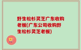 野生松杉灵芝广东收购老板(广东公司收购野生松杉灵芝老板)