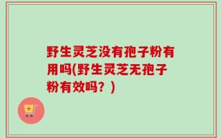 野生灵芝没有孢子粉有用吗(野生灵芝无孢子粉有效吗？)