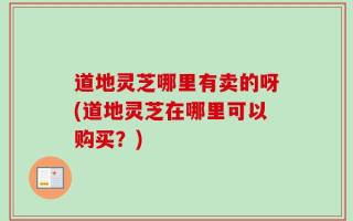 道地灵芝哪里有卖的呀(道地灵芝在哪里可以购买？)