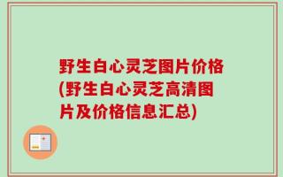 野生白心灵芝图片价格(野生白心灵芝高清图片及价格信息汇总)