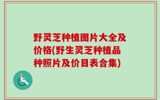 野灵芝种植图片大全及价格(野生灵芝种植品种照片及价目表合集)