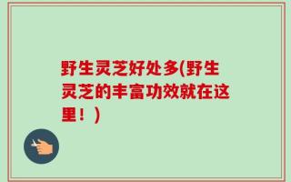 野生灵芝好处多(野生灵芝的丰富功效就在这里！)