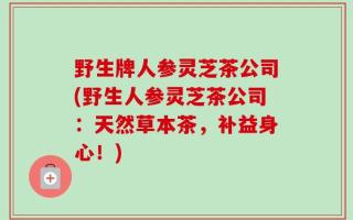 野生牌人参灵芝茶公司(野生人参灵芝茶公司：天然草本茶，补益身心！)