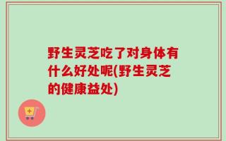 野生灵芝吃了对身体有什么好处呢(野生灵芝的健康益处)