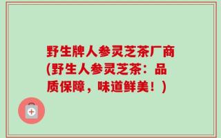 野生牌人参灵芝茶厂商(野生人参灵芝茶：品质保障，味道鲜美！)