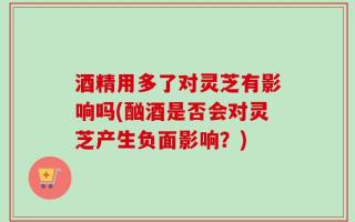 酒精用多了对灵芝有影响吗(酗酒是否会对灵芝产生负面影响？)