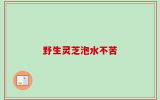 野生灵芝泡水不苦