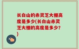 长白山的赤灵芝大棚高度是多少(长白山赤灵芝大棚的高度是多少？)