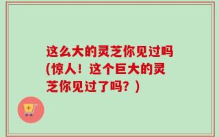 这么大的灵芝你见过吗(惊人！这个巨大的灵芝你见过了吗？)