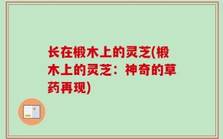 长在椴木上的灵芝(椴木上的灵芝：神奇的草药再现)