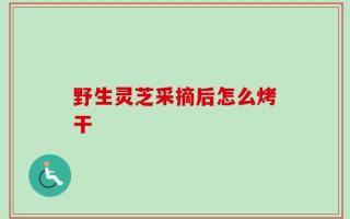 野生灵芝采摘后怎么烤干