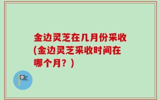 金边灵芝在几月份采收(金边灵芝采收时间在哪个月？)