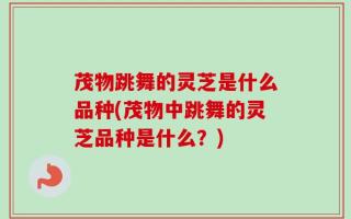 茂物跳舞的灵芝是什么品种(茂物中跳舞的灵芝品种是什么？)