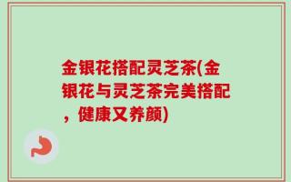 金银花搭配灵芝茶(金银花与灵芝茶完美搭配，健康又养颜)