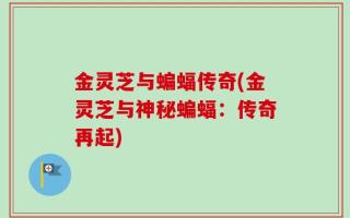 金灵芝与蝙蝠传奇(金灵芝与神秘蝙蝠：传奇再起)